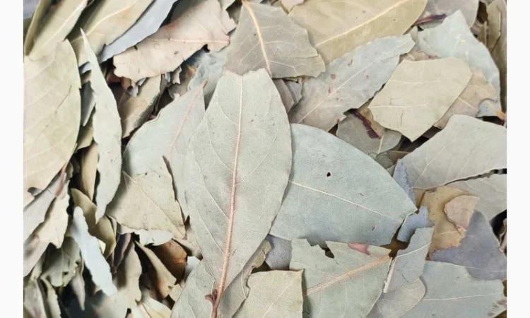 Лавровий лист машинної сушки - фото № 1