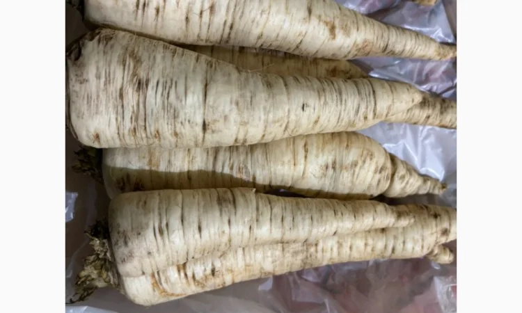 Корінь петрушки оптом від 1т - фото № 1