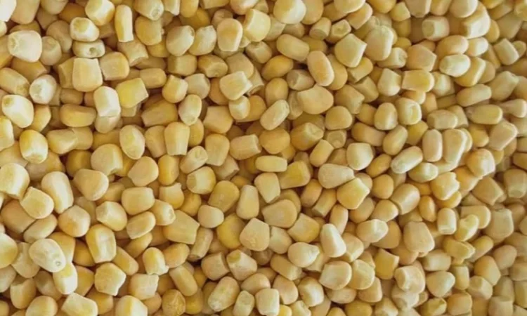 Заморожені фрукти та овочі від Levant Mwasem - фото № 1