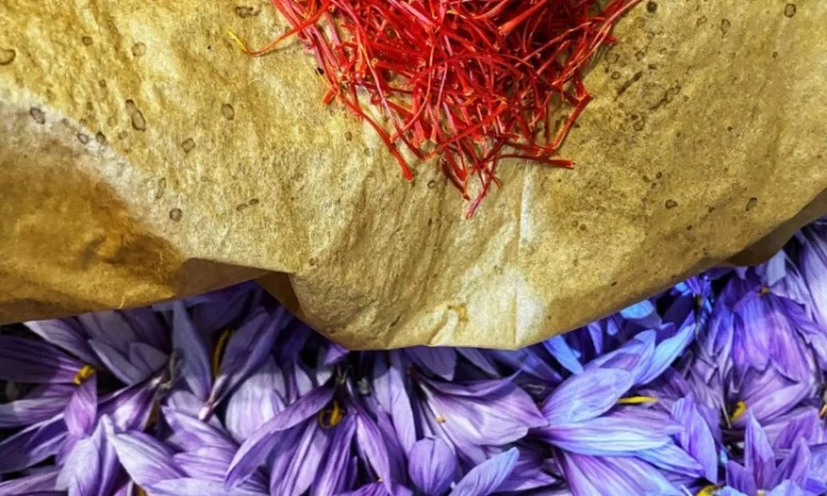 Шафран преміум якості на продаж - фото № 5