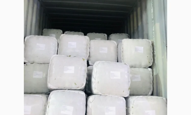 Лавровий лист 2024 року - фото № 2