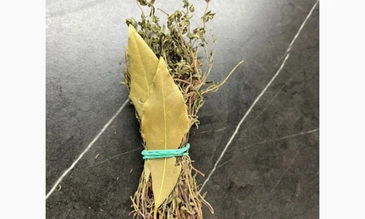 Продаю чебрець (Thymus vulgaris) оптом - фото № 1