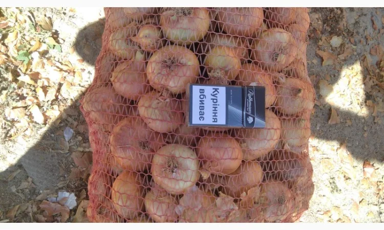 Лук Штутгарт для виганки пера в наявності - фото № 1