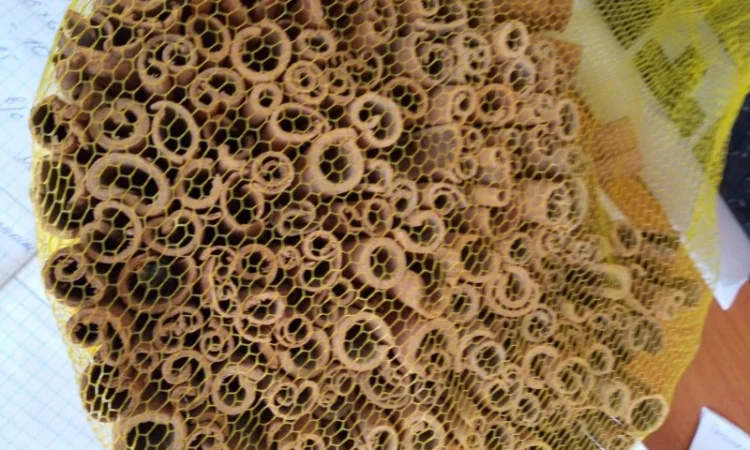 Корица мелена для виробництва - фото № 1