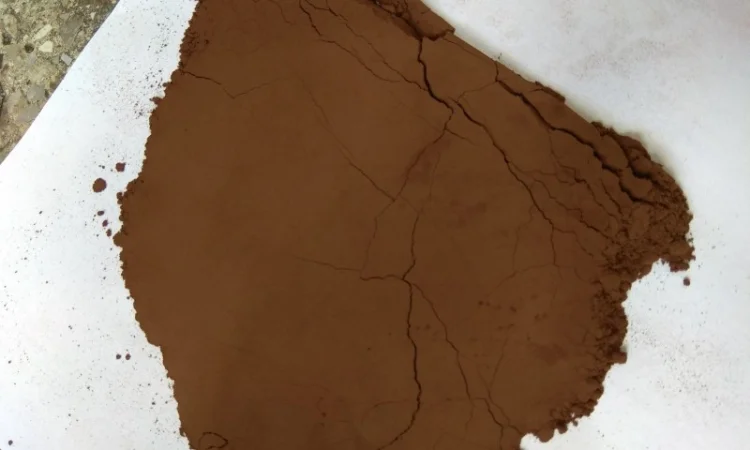 Продажа алкалізованного какао порошка ОЛАМ 10-12% - фото № 1