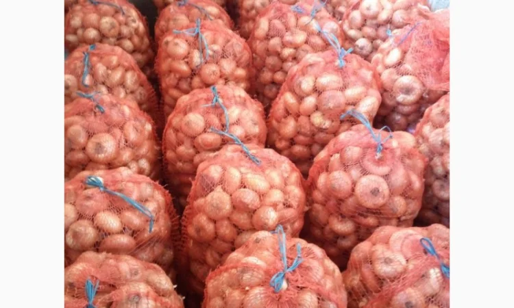 Цибуля Штутгарт на перо для продажи - фото № 1