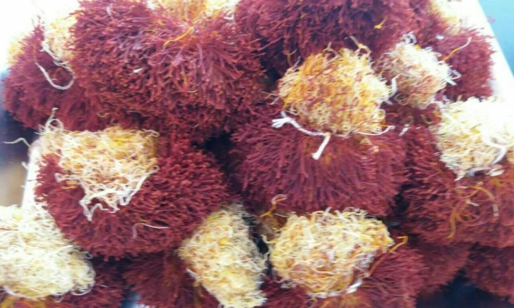 Продаж шафрану Sargol з Ірану - фото № 7