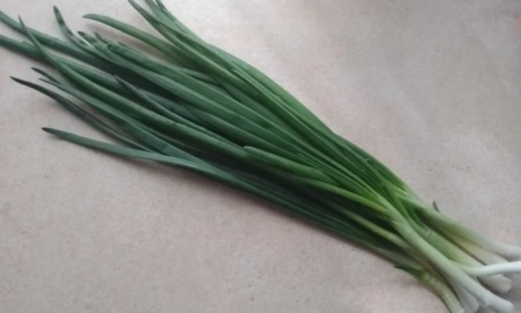 Зелена цибуля перо - фото № 2