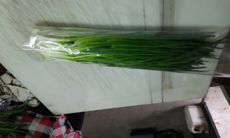 Продам зелену цибулю (перо) - фото № 2