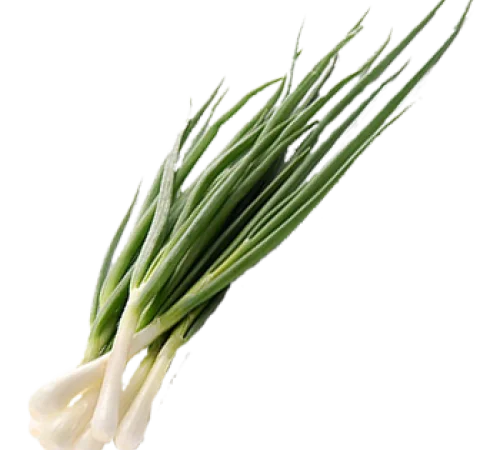 Закупка Цибуля зелена от 500 до 1000 кг в неделю - фото № 1