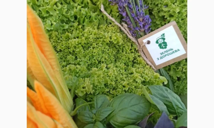 Свіжа Зелень :: Продаж :: Сезон 2022 :: - Базилік зелений/червоний - 60 грн/кг - фото № 4