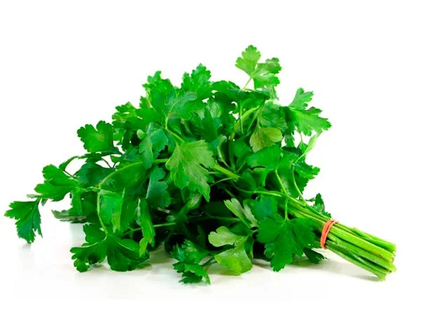 Продам петрушку - фото № 1