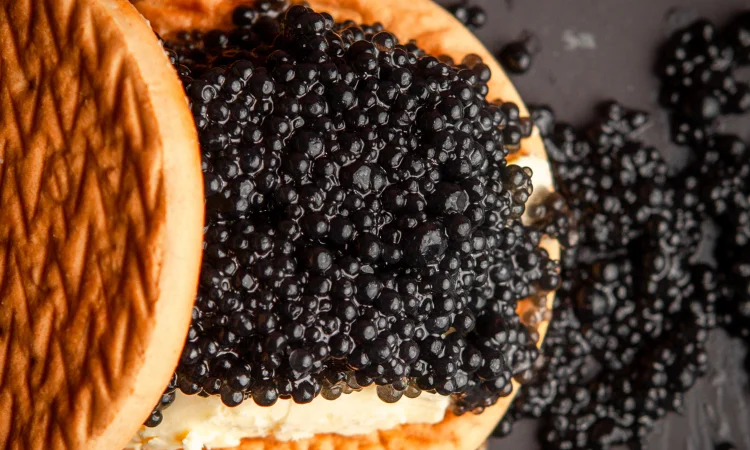 ЧОРНА ІКРА 250 Г (КАСПІЙСЬКИЙ ОСЕТР) - фото № 1