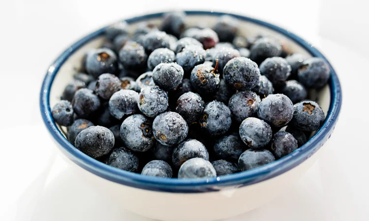 Лохина Голубика - фото № 1