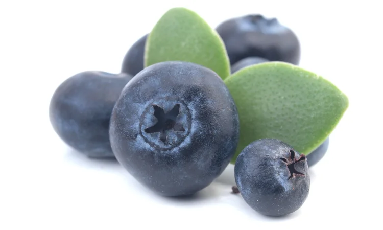 Лохина - фото № 1