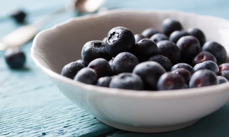 Продажа лохини гуртом. Київська обл. - фото № 1