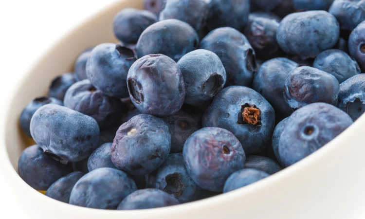 Органічна лохина (голубика), Київська область.ОПТ - фото № 1