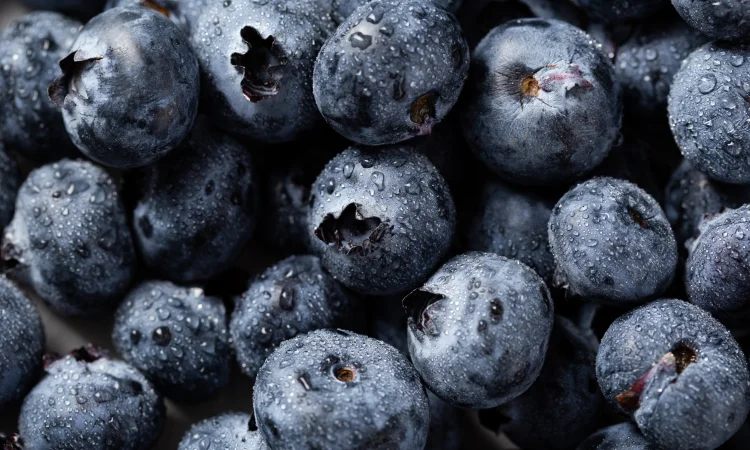 Ягода лохини, голубики - фото № 1