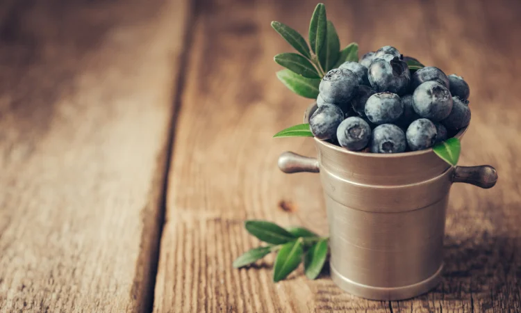 Продам Голубику Лохину Крупная Свежая - фото № 1