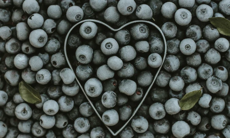 Продам голубику опт и розница 2020год - фото № 1