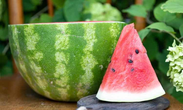 Кавуни - фото № 1