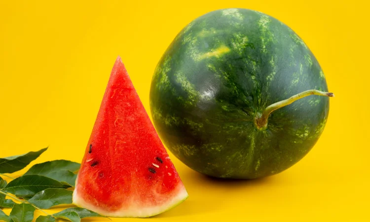 Кавуни з Узбекистану - фото № 1