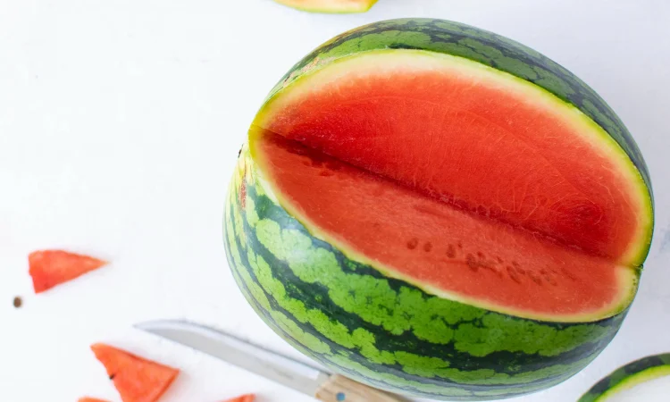 Кавун ТОПГАН, КАРІСТАН врожаю 2025, збір в серпні - фото № 1