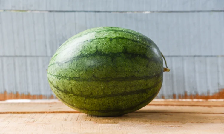 Продам кавуни - фото № 1