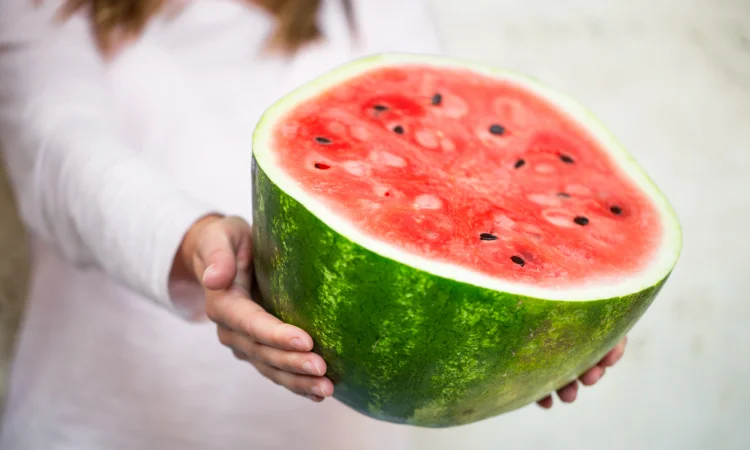 Продам кавуни та дині ОПТОМ з поля. - фото № 1