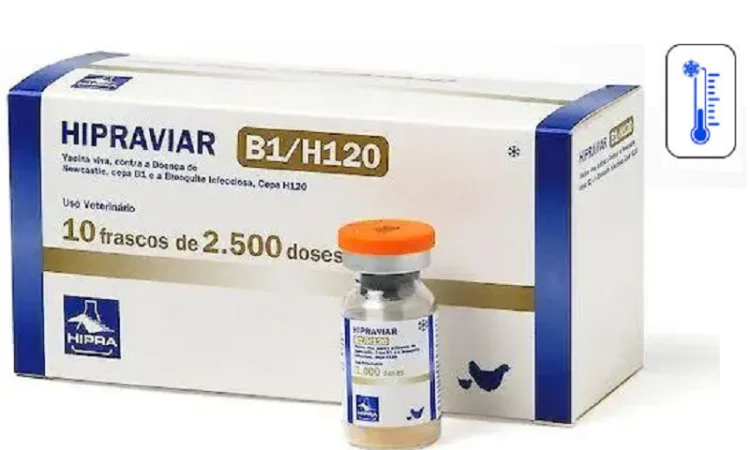 Вакцина Ла-Сота Ньюкасла ХІПРАВІАР-B1 H120 2500 - фото № 1