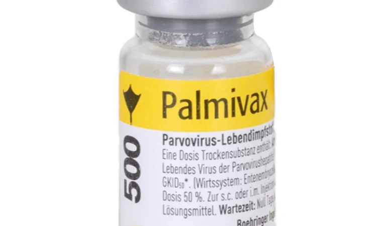 В-на п/вір. ентериту гусей Palmivax Берінгер - фото № 1