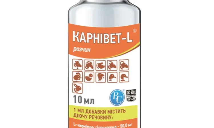 Карнівет L 10 мл Ветсинтез - фото № 1