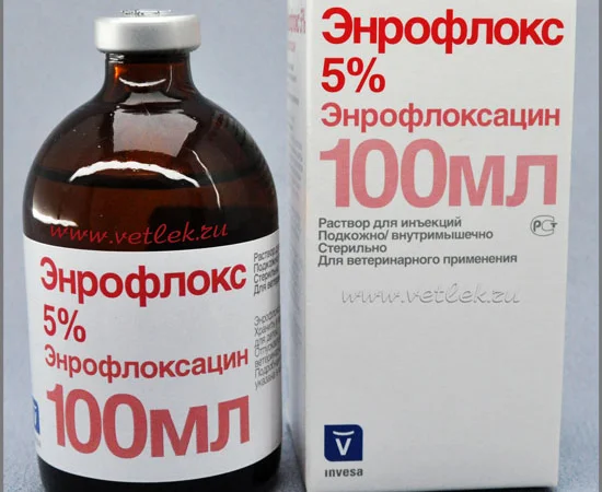 Енрофлокс 5%, 100 мл - фото № 1