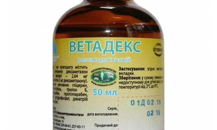 Ветадекс, 50 мл - фото № 1