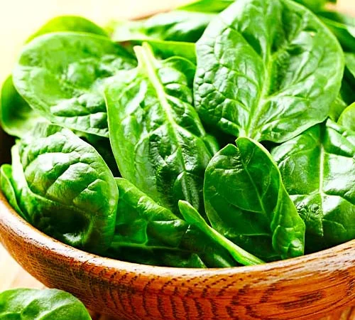 Шпинат Зима Блумсдейла - фото № 1