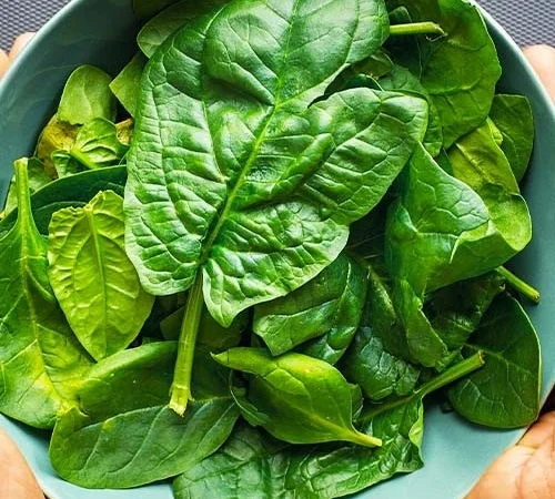 Шпинат Лагос (насіння) - фото № 1