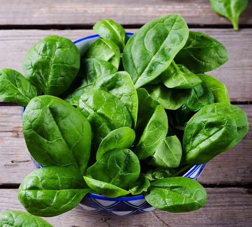 Шпинат середньостиглий Матадор 10г (насіння) - фото № 1