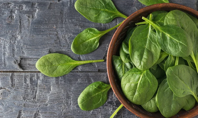 Шпинат Спірос (насіння) - фото № 1