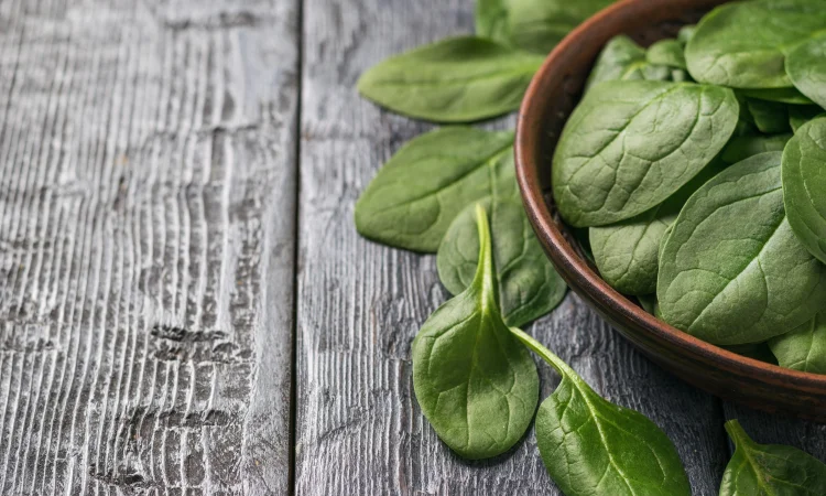 Шпинат Новозеландський (насіння) - фото № 1