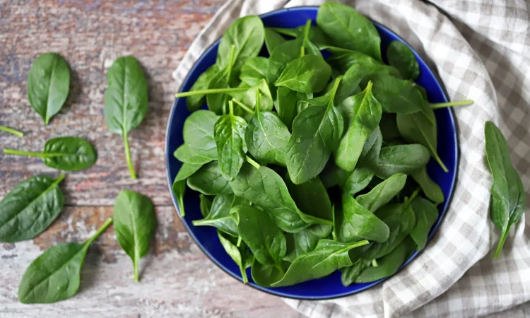 Шпинат VIP (насіння) - фото № 1