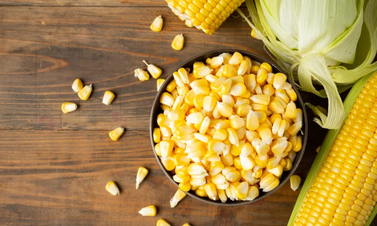 Кукурудза Трофі F1 (насіння) - фото № 1