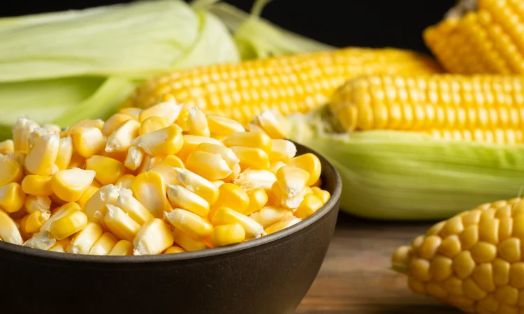 Кукурудза Леженд F1 (насіння) - фото № 1