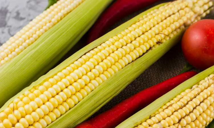 Кукурудза Добриня F1 (насіння) Кукурудза Добриня - фото № 1