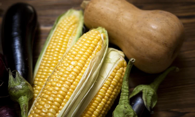 Кукурудза Трофі F1 (насіння) - фото № 1