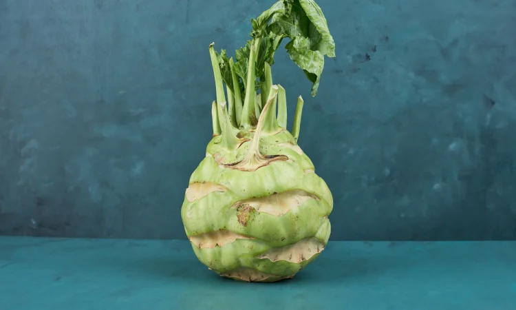 Селера коренева Цілитель (насіння) - фото № 1