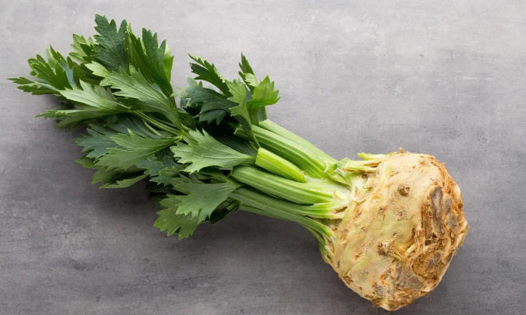 Селера коренева Чорномор (насіння) - фото № 1