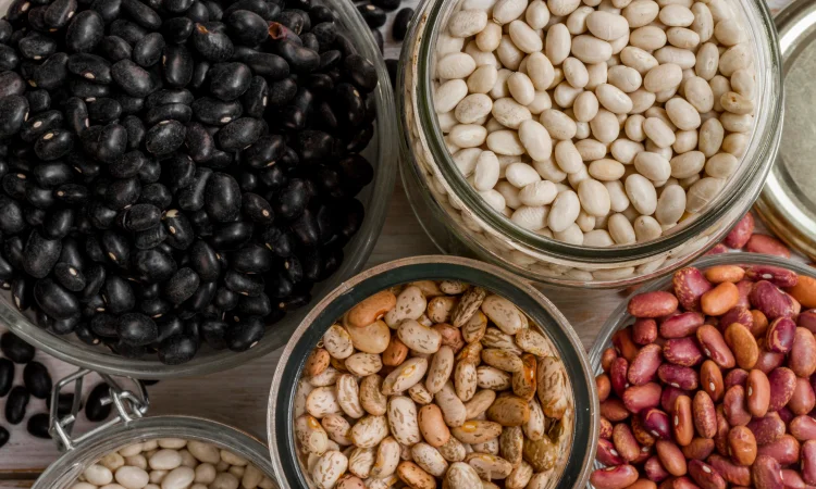 Квасоля зернова Мішле (насіння) - фото № 1