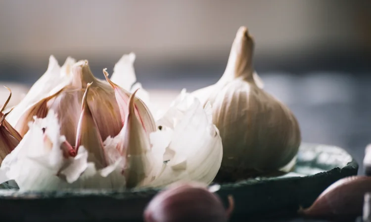 Часник Germidour (Озимий) (цибулини) - фото № 1