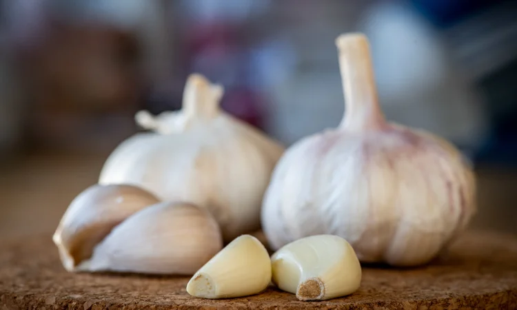 Часник Germidour 100г (Озимий) (цибулини) - фото № 1