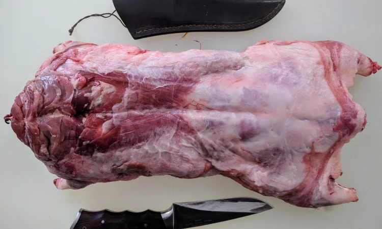 Нутрія - фото № 1